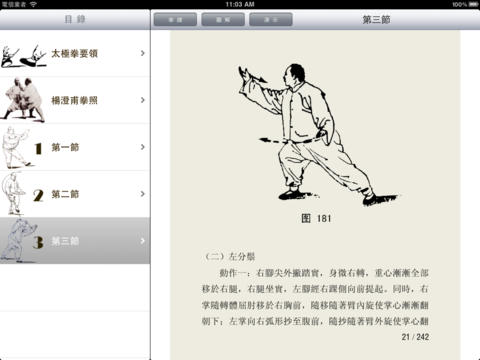 iPad schermafdruk 2