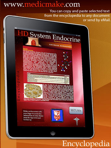 iPad Screenshot 3