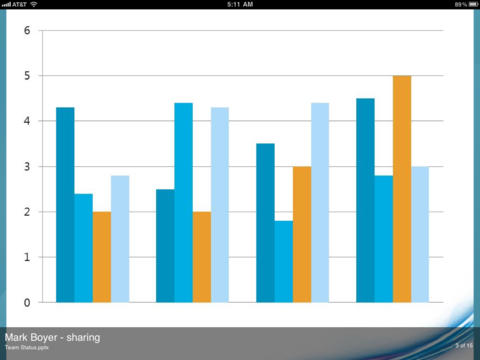 iPad Screenshot 5