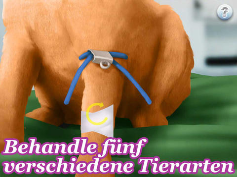 Traumjob Tierärztin - Meine erste Kleintierpraxis 