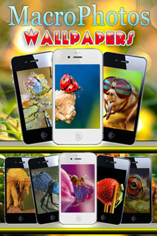 iPhone schermafdruk 2