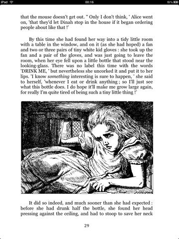 iPad Screenshot 4
