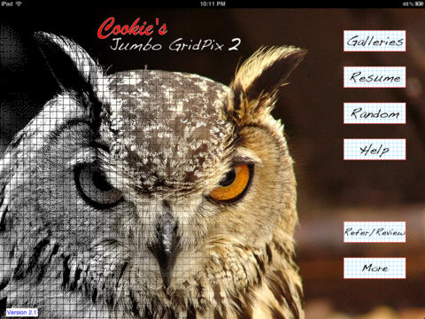 iPad Screenshot 5