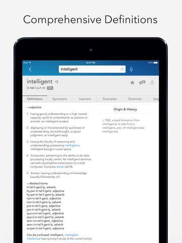 iPad Screenshot 2