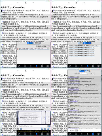 iPad Screenshot 2