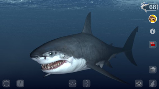 iPhone Screenshot 1