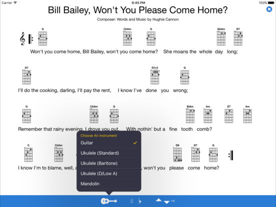 iPad Screenshot 4