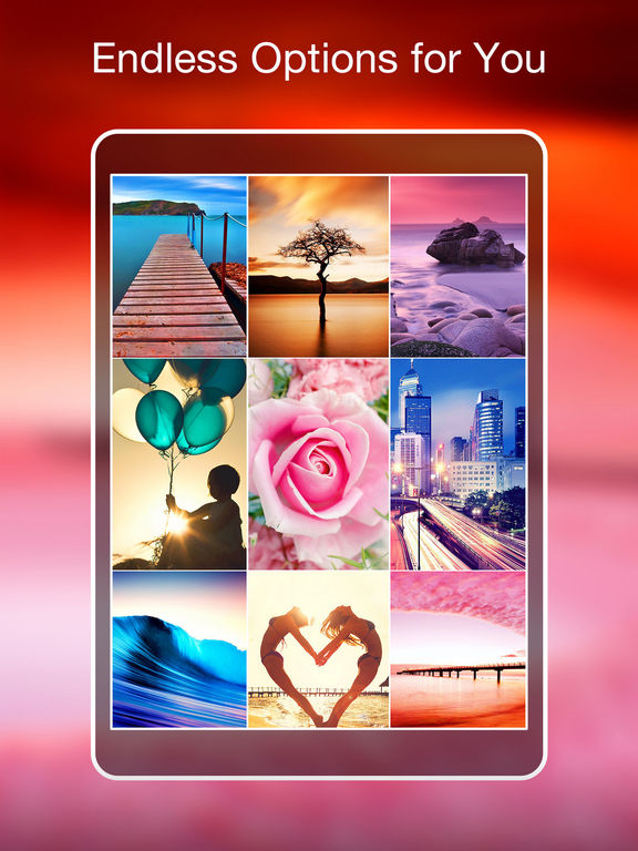 iPad Screenshot 5