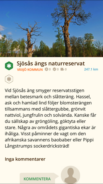 iPhone Screenshot 3