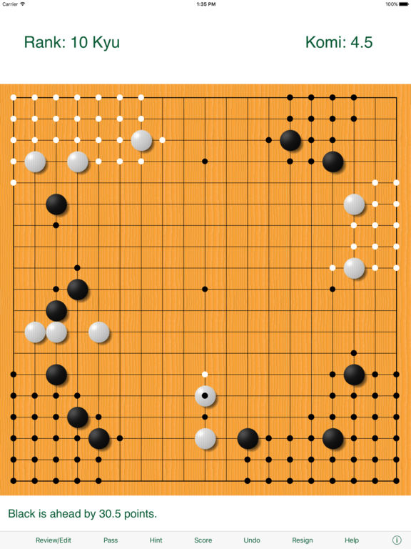 iPad Screenshot 1