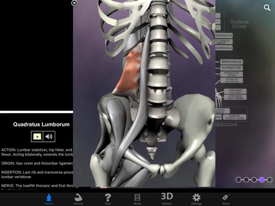 3d Muscle Premium 2 Ipa Download Ipad