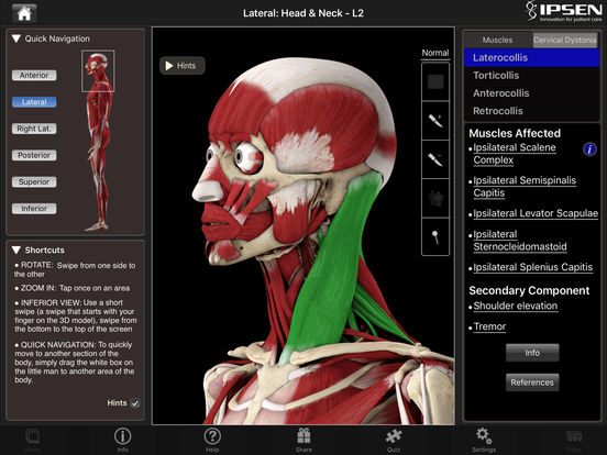 iPad Screenshot 2