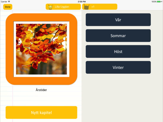 iPad-skärmavbild 4