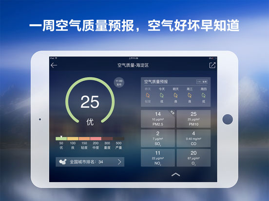 iPad Screenshot 2