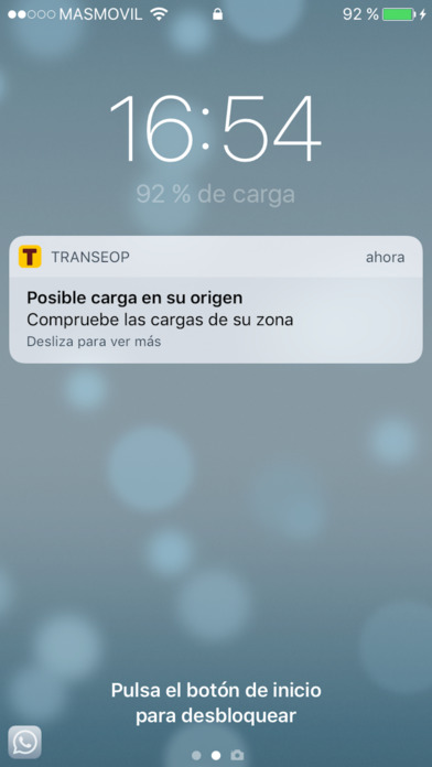 iPhone Screenshot 1