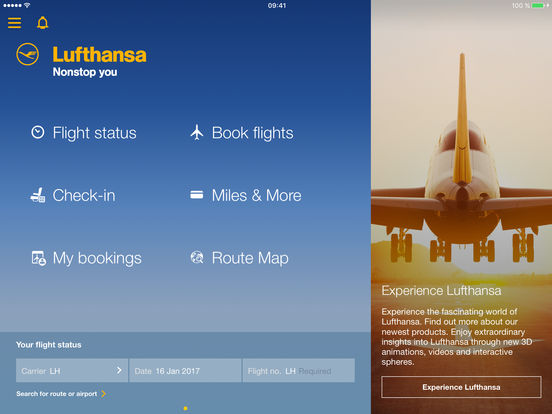 iPad Screenshot 1