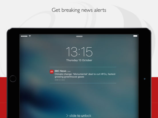 iPad Screenshot 4