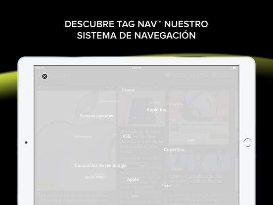 Captura de pantalla del iPad 5