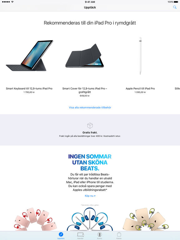 iPad-skärmavbild 3