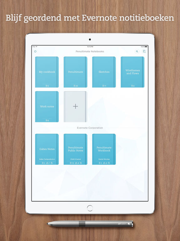 iPad schermafdruk 5