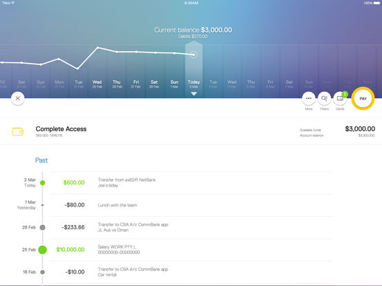 iPad Screenshot 4