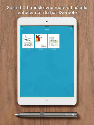 iPad-skärmavbild 4