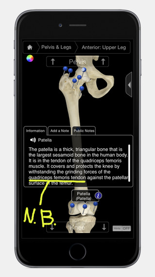 iPhone Screenshot 2