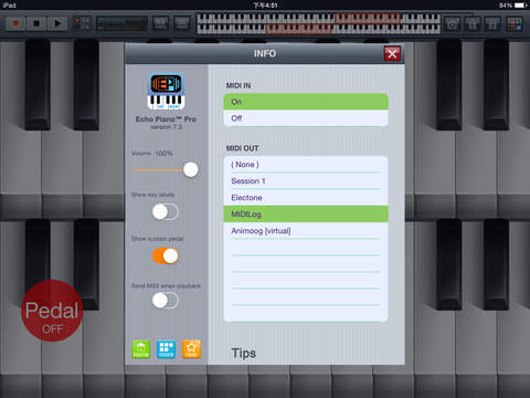 iPad Screenshot 4