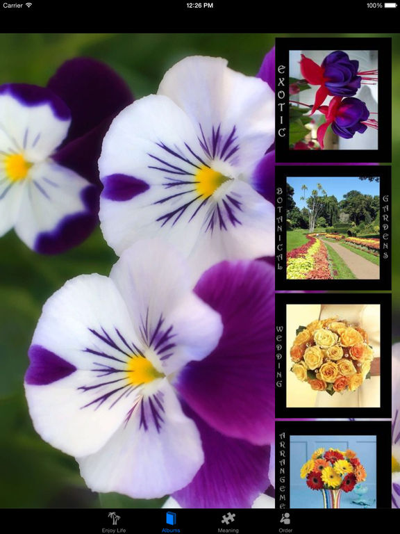 iPad Screenshot 3