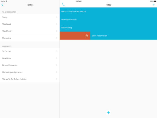 iPad Screenshot 5