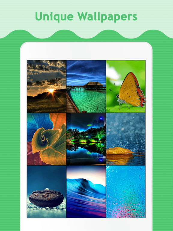 iPad Screenshot 1