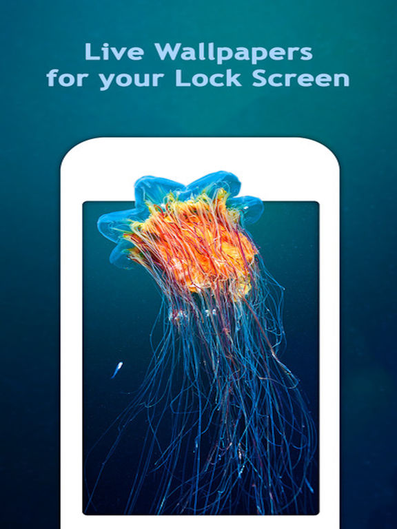 Télécharger Aquarium Live Wallpapers for Lock Screen pour iPhone / iPad