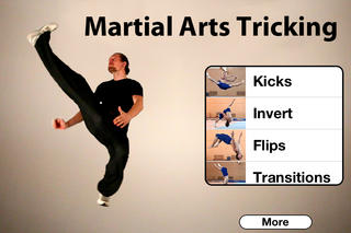 Martial Arts Tricking screenshot1