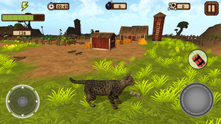 A Catty Cat World screenshot1