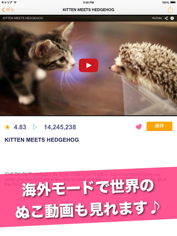 日刊ねこ動画 - CatTube 猫動画まとめアプリのおすすめ画像4