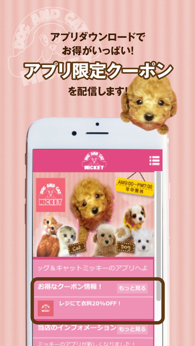 iPhone Screenshot 2