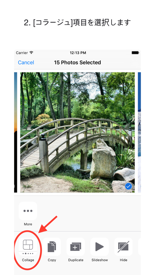 Collage Action for Photos Extensionのおすすめ画像2