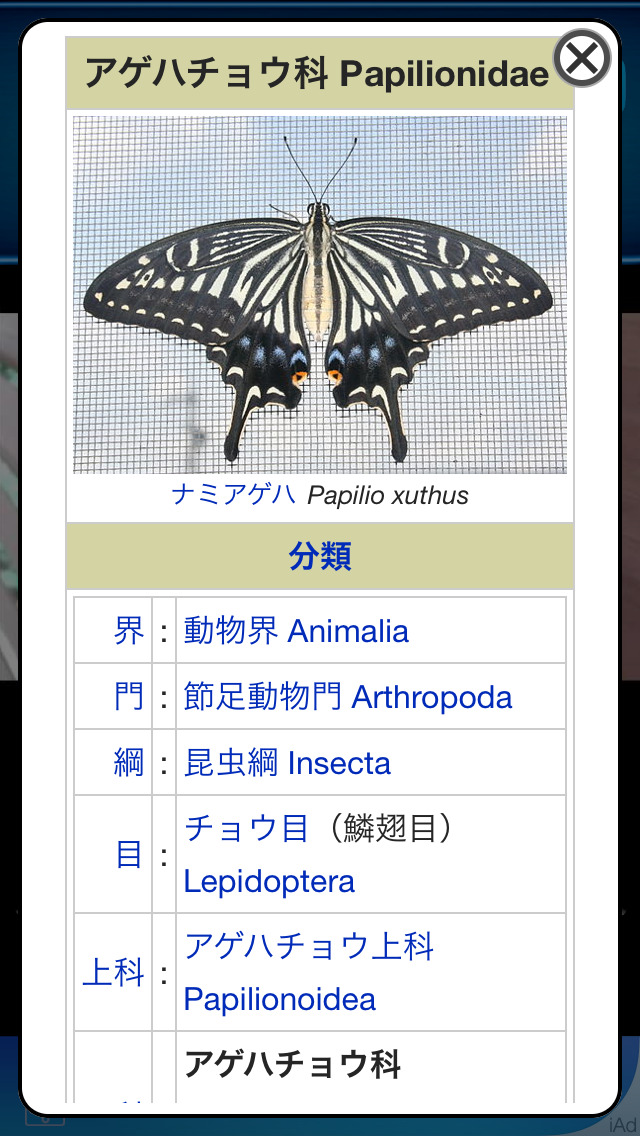 Butterfly Trivia Touc... screenshot1