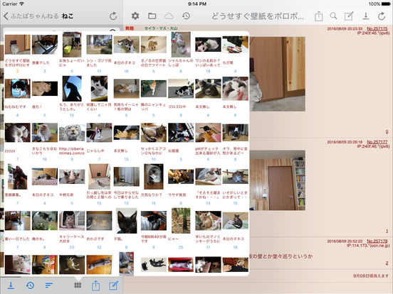 iPad スクリーンショット 3