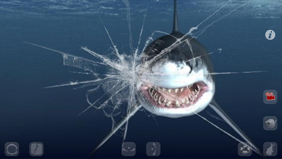 iPhone Screenshot 5