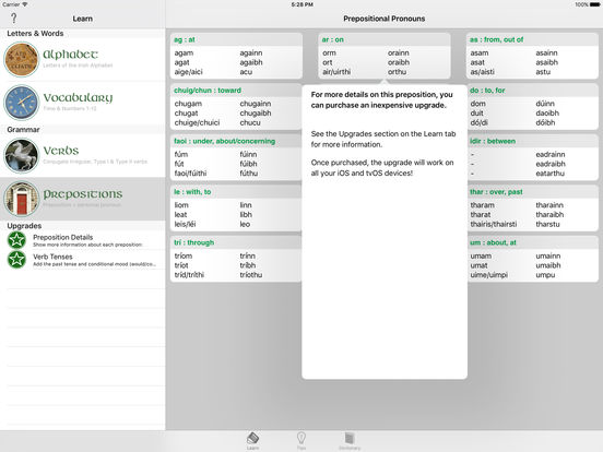 iPad Screenshot 5