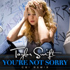 You're Not Sorry (CSI Remix) - Single, Taylor Swift