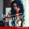 Love Is a Losing Game (Truth & Soul Remix) - Single, Amy Winehouse
