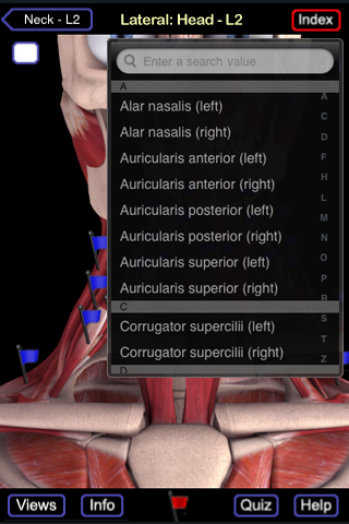 Muscle System (Head and Neck) free app screenshot 3