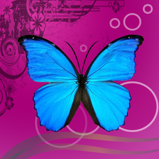 free Butterfly Wallpapers & Backgrounds iphone app