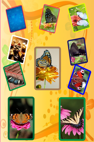 Butterfly Wallpapers & Backgrounds free app screenshot 3