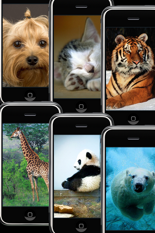 Animal Wallpapers Free free app screenshot 3