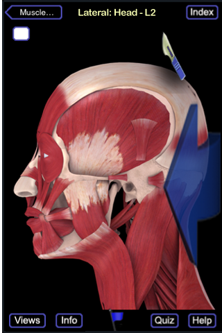 Muscle System (Head and Neck) free app screenshot 1