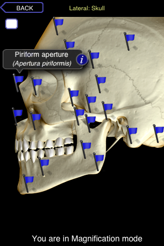 Skeletal System (Head and Neck) free app screenshot 3