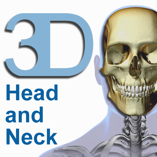 free Skeletal System (Head and Neck) iphone app